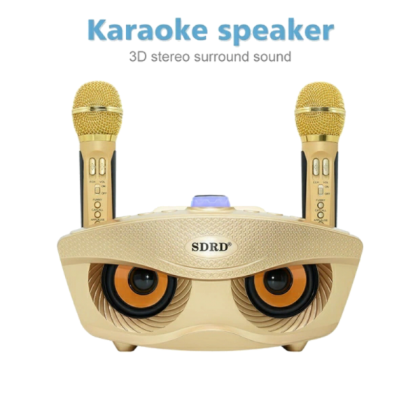 Karaoke prijenosni 3D stereo zvučnik SDRD SD-306