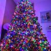 1000 komada led lampica ( ŠARENE ) - Slika 2