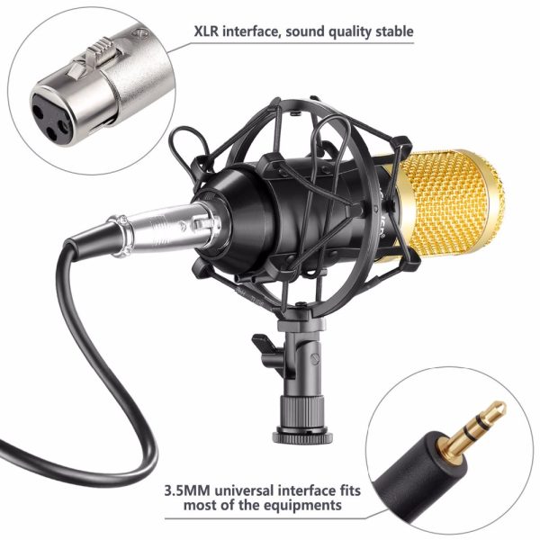 Model E – 451 profesionalni kondenzatorski mikrofon za studijsko karaoke snimanje - Slika 2