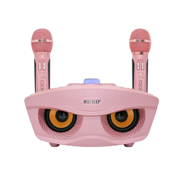 Karaoke prijenosni 3D stereo zvučnik SDRD SD-306 - Slika 2