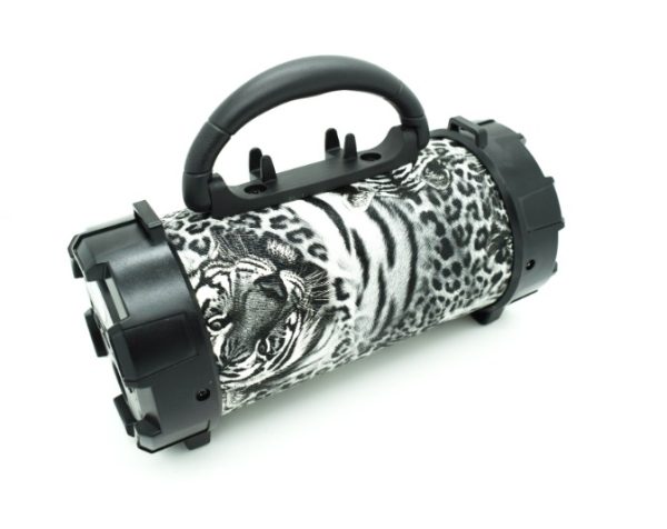 ZVUČNIK PRIJENOSNI BEŽIČNI BLUETOOTH F18 + + poklon iTag BLUETOOTH PRIVJESAK - Slika 6