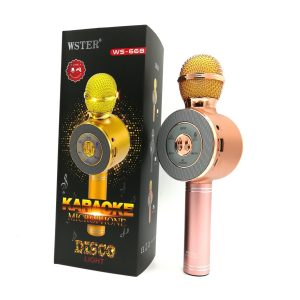 Karaoke mikrofon model WS-668