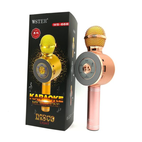 Karaoke mikrofon model WS-668